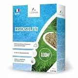 LERAVA Eisensulfat (100 m²) - Hochwirksamer Eisendünger für Rasen - Moosvernichter und Bodenverbesserer mit Eisen, Kalium und Magnesium - Fördert sattes Grün & gesunden Rasen - Für alle Rasentypen