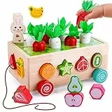 YGJT Montessori Motorikspielzeug ab 1 Jahr Spielzeug 6 in 1 Holz, SteckSpiel Sortierspiel Karottenernte Stapelspiel Lernspielzeug Ostern Geburtstag Geschenk für 2 3 Jahre Mädchen Junge