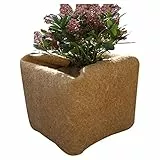 NOOR Kokosmatte Bewässerungsvlies 0,5x1,5 m - Winterschutz für Topf- und Kübelpflanzen - Kokosvlies aus 100% Naturmaterial 750 g/m² - Frostschutz Unkrautschutz individuell zuschneidbar
