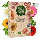 Little Plants Blumensamen Set - 12 Sorten BIO Samen Blumen - 100% natürlich & extra viele Blumenwiese Samen - BIO Saatgut für Blumenwiese - Nachhaltiges Pflanzen Set mit Wildblumensamen