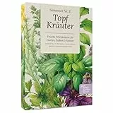 Magic Garden Seeds - Topf-Kräuter : Dein Mini-Kräutergarten für Balkon & Küche - Saatgut-Box mit 9 aromatischen Kräutern