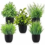 MDPUTY 5 Stück Kunstpflanze, Plastik Pflanze mit Schwarzen Topf Künstliche Pflanzen Deko Kleine Kunstpflanzen Unechte Plastikpflanzen für Schreibtisch Haus Balkon und Bad Dekoration