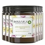 Botanica by Air Wick Duftkerze – Duft: Himalaya-Magnolie & Vanille – Nachhaltig hergestellt mit natürlichen Inhaltsstoffen – 6 x Kerze im Glas