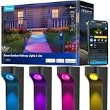Govee Wegeleuchten Außen 2 Lite RGBWIC, Smart Gartenbeleuchtung mit IP67 Wasserdicht, Kompatibel mit Matter, Alexa & Google Assistant, 60+ Szenen, Outdoor Gartenleuchte für Gehweg,Hof,Garten, 4 Stück