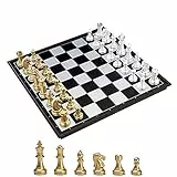 KOKOSUN Schachspiel Gold und Silber Schachfiguren, Magnetisch Faltbares Schachbrett Bequeme Aufbewahrung, Lernspielzeug/Geschenk für Kinder und Erwachsene (32×32cm)