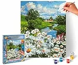 Schipper 609240899 Malen nach Zahlen - Margeritenwiese - Bilder malen für Erwachsene, inklusive Pinsel und Acrylfarben, 24 x 30 cm