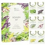Bohnen Samen Set: 6 Köstliche Bohnen Sorten für Garten und Balkon – Stangenbohnen Samen, Buschbohnen Samen – Alte Gemüse Samen – Bohnen Saatgut Alte Sorten – Samen Gemüse OwnGrown