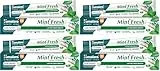 Himalaya Herbals Mint Fresh Herbal Toothpaste Gum Expert Range for Healthy, Protected Gums and Fresh Breath, 75 ml (Packung mit 4)