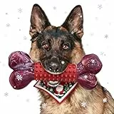ChienBox Hundespielzeug Unzerstörbar für Mittelgroße Große Hunde: Kauspielzeug Hund für Aggressive Kauer, Robust Nylon & Naturkautschuk, Zahnpflege-Spielzeug mit weichen Gumminoppen, Knochenform, Bœuf