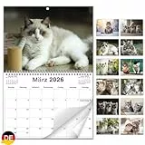 AEYAKA 2026 Katzen Wandkalender – Katzenbilder Monatsplaner, Monatskalender bis A3 aufklappbar, Familien- & Büro-Organizer, Geschenk für Katzenliebhaber Deutsch