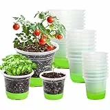 MIXC Anzuchttöpfe 24 Stück 9/10/12 cm Pflanztöpfe Transparent mit Silikonsockel Wiederverwendbar Blumentöpfe aus Kunststoff für Pflanzen Blumen Gemüse,Grün