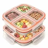 Ouxayapl 2 Stück Snackbox mit Fächern Edelstahl,Brotdose für Kinder & Erwachsene,Auslaufsicher lunchbox mit Deckel für Schule, Arbeit & Camping (600ML)