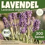Little Plants BIO Lavendel Samen 300 Lavendelsamen Blumensamen für Blumenkübel Samenfest Blumen Samen für Balkon und Garten
