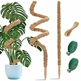 Aileem 2 Stück Moosstab Rankhilfe, 122 cm & 63 cm Biegsame Pflanzenstütze für Innenräume, Kokosstab zum Trainieren von Kletterpflanzen Hochwachsen