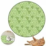 WUSANNA Interaktives Katzenspielzeug 2-in-1 Matte - Pfotenjagd zur Stimulation des Jagdinstinkts (Grün)