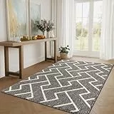 Biscpro Schmutzfangmatte 90 x 150, Rutschfestigkeit Fußmatte,Maschine gewaschen Türmatte für Hund, Außen Innen Garten,Teppich,küchenteppich,Haustür