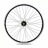 XB3 Vorderrad 28 Zoll Nabendynamo Shimano Hohlkammerfelge Laufrad für Felgenbremse, Schwarz