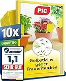 PIC Trauermücken bekämpfen – 10x Gelbtafeln gegen Trauermücken, Gelbsticker für Zimmerpflanzen, Gelbfalle gegen kleine Fliegen in der Blumenerde – Alternative zu Nematoden