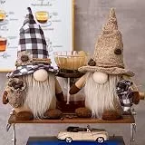 ACAREY 2 Stück Kaffee Wichtel Herbstdeko Wichtel Sommer Herbst Deko Wichtel Figuren Erntedankfest Plüsch Ornament Schwedischer Tomte Wichtel für Kaffeestation, Rudolph Puppe Figure für Küche