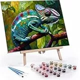 Malen Nach Zahlen Kinder ab 5 6 7 8 9 10 Jahre Mädchen, Paint by Numbers Adult Kinder Chamäleon Anfänger mit Leinwand Pinseln Acrylpigment für Geschenke und Home Haus Dekorieren 20x30cm U-499