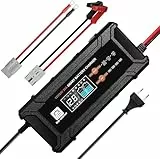 ECO-WORTHY 12V/24V 20A LiFePO4 Batterieladegerät mit Multi-Current Optionen 5A/10A/15A/20A,automatische LiFePO4 Blei-Säure Batterie Spannungserkennung für Auto LKW Motorrad Rasenmäher