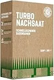 GardenGloss Rasensamen Schnellkeimend Sommer 1kg - Made in Germany - 50m2 Fläche Rasen - Grassamen Turbo Nachsaat und Neuanlage - Rasennachsaat