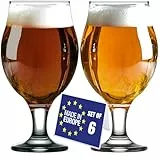 NORDIC SCHILLER Luxus Biergläser 6er Set 0,5L (Max 570ml) 100% BLEI FREI Pint Bierglas, Craft Beer Glasses, Bierkelche, Stielbierglas, IPA Bierverkostungsglas, Bierkelchglas, Belgischen Bier Gläser