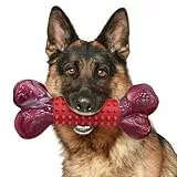 ChienBox Hundespielzeug Unzerstörbar für Mittelgroße Große Hunde: Kauspielzeug Hund für Aggressive Kauer, Robust Nylon & Naturkautschuk, Zahnpflege-Spielzeug mit weichen Gumminoppen, Knochenform, Bœuf