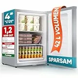 Stillstern Mini Gefrierschrank (42L) -18°C, Eiswürfelschale, Schloss, Türanschlag wechselbar, 4-Sterne Tiefkühlschrank für Camping/Büro Gefriertruhe Klein Gefrierschrank Klein Tiefkühltruhe Silber