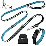 ETACCU Doppelte Leinen Freihandleinen Übungsleinen mit Rollleinen 3M für mittlere Hunde bis 50 Kg, Große Hunde Robuste Rutschfester Griff, Ohne Verwicklung, Reflektierende - Blau