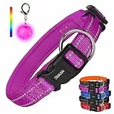 RUXAN Hundehalsband Weich Gepolstertes, Verstellbare Reflektierend Hunde Halsband, Atmungsaktiv Nylon Hundehalsband mit 1 LED Licht, for Kleine, Mittel, Große Hunde (M: 40-45cm, Purple)