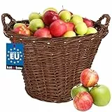 KOTARBAU® Weidenkorb mit Griffen - ø 60 cm - Blumen Korb - Aufbewahrung von Spielzeug - Holzkorb für Kaminholz - Erntekorb aus Weide - Aufbewahrungskörbe - Braun