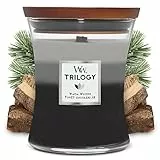 Yankee Candle WoodWick mittelgroße Trilogy-Duftkerze im Sanduhrglas mit Pluswick-Innovation, Warm Woods