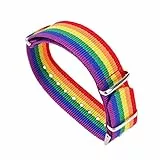 Holibanna Stolz Regenbogen Armband Lgbt Handgelenk Schmuck Lesben Paar Band Homosexuell Stolz Zubehör Bisexuelle Transgender Dekoration for Damen Herren