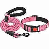 haapaw reflektierendes Hundehalsband gepolstert mit weichem Neopren atmungsaktiv einstellbar Nylon Hundehalsbänder für kleine mittlere große Hunde