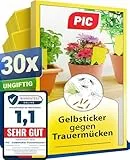PIC Trauermücken bekämpfen – 30x Gelbtafeln gegen Trauermücken, Gelbsticker für Zimmerpflanzen, Gelbfalle gegen kleine Fliegen in der Blumenerde – Alternative zu Nematoden