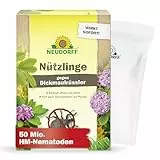 Neudorff Nützlinge gegen Dickmaulrüssler – 50 Mio. HM-Nematoden zur natürlichen und schnellen Bekämpfung von Dickmaulrüssler, Maikäfer und Gartenlaubkäfer