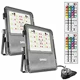SANSI RGB LED Strahler Außen 10W, LED Fluter mit Fernbedienung IP65 Wasserdicht, RGB Flutlicht Dimmbar Farbwechsel mit Timer, 20 Farben 6 Modi für Garten Landschaft Party Fest, 2 Stück