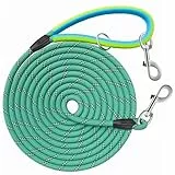 Aystkniet Schleppleine für Hunde, 5M 10M 15M 20M 30M Lange schleppleine mit 2 Wirbelhaken, Trainingsleine für Kleine Mittlere und Große Hunde, Starke Hundeleine Laufleine für Große Hunde bis 150kg