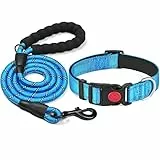 haapaw reflektierendes Hundehalsband gepolstert mit weichem Neopren atmungsaktiv einstellbar Nylon Hundehalsbänder für kleine mittlere große Hunde