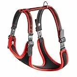 Ferplast Hundegeschirr für große Hunde ERGOCOMFORT, verstellbar, komfortabel, gepolstert, mit Schnellverschluss, Größe L, max. 40 kg. Rot