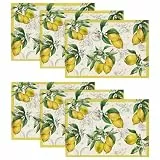 Artoid Mode Zitrone Sommer 6er Set Platzsets, 30x45cm Saisonnal Frühling Bankett Tischsets Waschbar Platzdeckchen Küche Party Deko