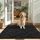 Biscpro Fußmatte Innen Außen 80x100cm Waschbar Eingangsteppich Innen Schmutzfangmatte rutschfest,Türmatte Innen Teppich Für Eingang, Patio, Flur, Garten, Innen und Außen -Dunkelgrau