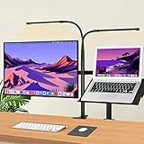 iZELL 77 LED Schreibtischlampe Dimmbar - 【3 Farbtemperaturen & 10 Helligkeitsstufen】 70cm Flexiblem Schwanenhals mit USB-Ladegerät, Klemmleuchte, Bürolampe, Arbeitslampe für Home Office/Büro
