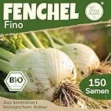 Little Plants BIO Fenchel Samen 100 Fenchelsamen Fino Gemüsesamen Samenfest für Gemüsegarten Gemüse Samen für Küche, Balkon, Hochbeet und Garten