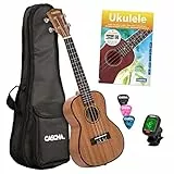 Cascha HH 2036 Premium Mahogany Concert Ukulele Starter Pack