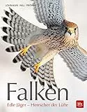 Falken: Edle Jäger - Herrscher der Lüfte (BLV Vögel)