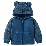 NANQUAN AMIYAN Bear Ears Shape Fleece Warm Hoodies Clothes Toddler Zip-up Light Jacket Sweatshirt Outwear For Baby Boys (Grey Blue, 3-4T)