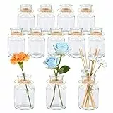 Der Rose 12 Stück kleine Vasen für Tischdeko, 125 ml Transparente Blumenvase aus Glas für Hochzeitsdeko, Party Deko, Tischdeko