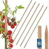 KOTARBAU® 5er Set Tomatenstäbe Pflanzstäbe 120 cm Zaunpfahl Holzpfosten Holzpflock angespitzt Pflanzenstütze Zaunpfosten Rankhilfe Holzpflanzenstäbe zur Stabilisierung Pflanzenstützen